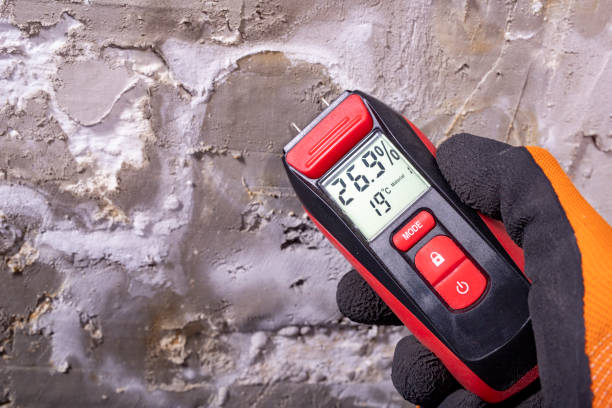 Best Mold Remediation Experts  in Lubbock, TX