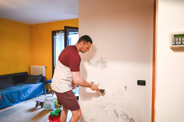 Best Certified Mold Removal  in Lubbock, TX