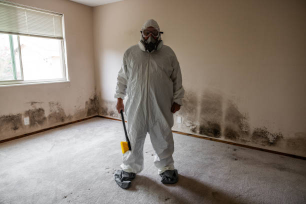 Best Attic Mold Removal  in Lubbock, TX